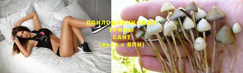 Галлюциногенные грибы Magic Shrooms  сколько стоит  OMG ссылка  Оса 